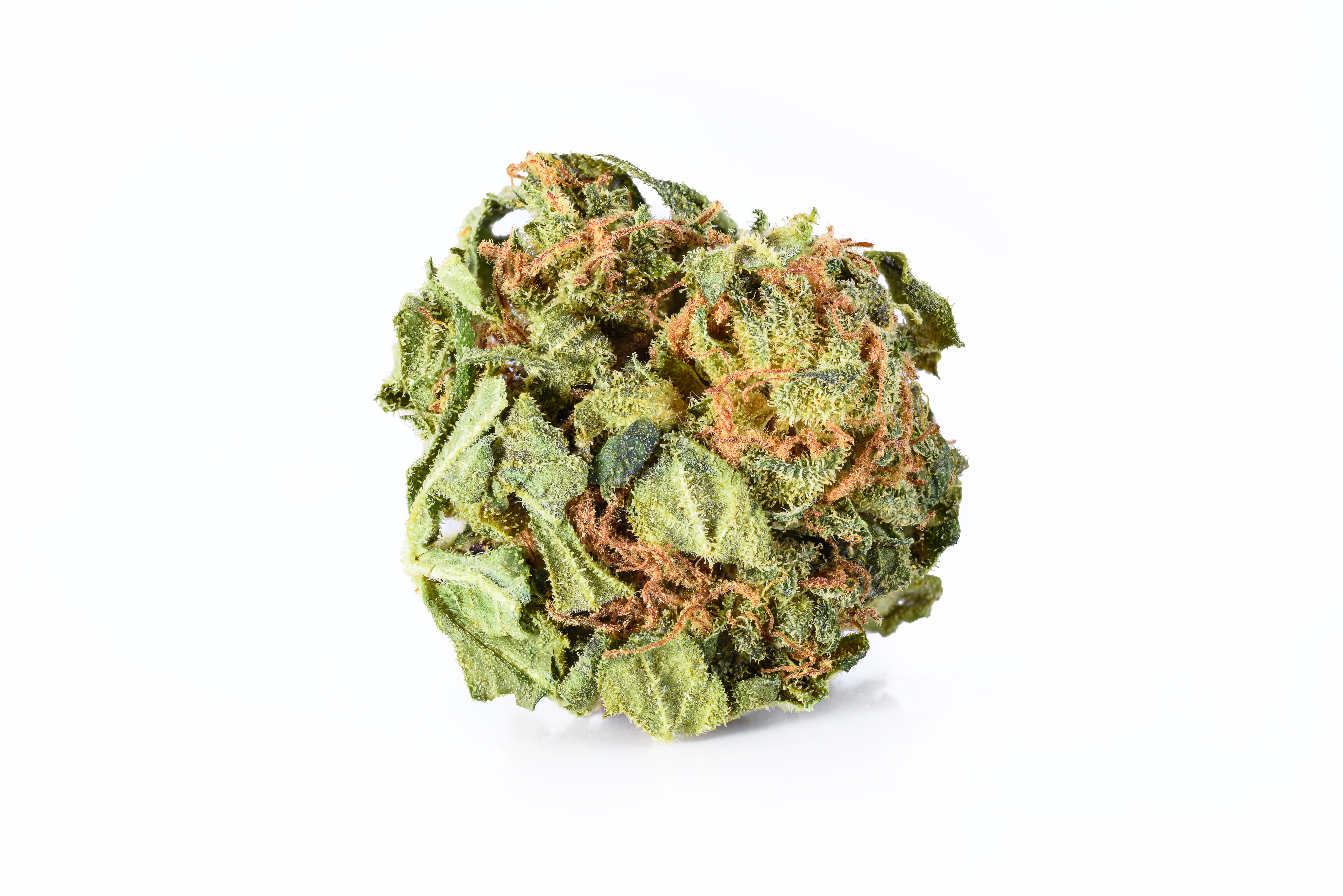 NYC Diesel