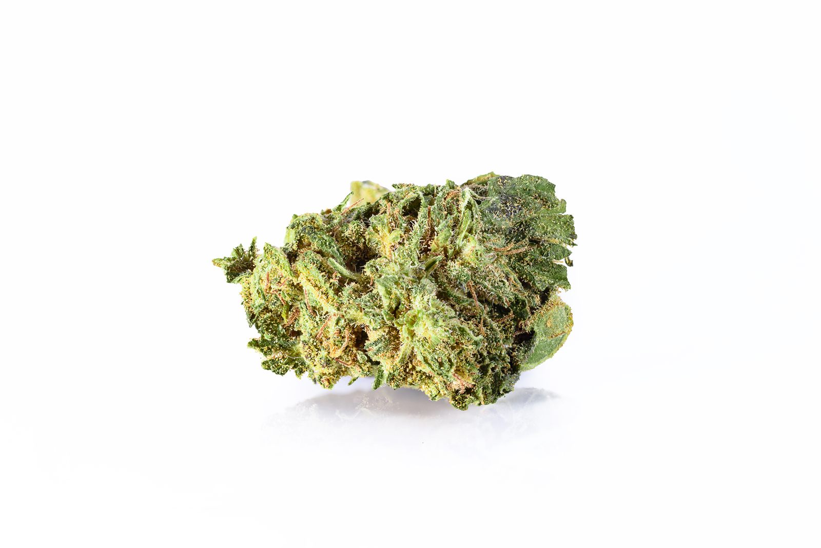 Super Silver Haze